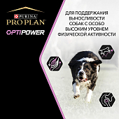 Сухой Корм Pro Plan Optipower для активных и рабочих взрослых собак с курицей