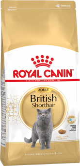 Royal Canin British Shorthair Adult корм сухой сбалансированный для взрослых британских короткошерстных кошек