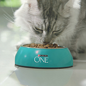 Сухой корм Purina ONE® полнорационный для взрослых кошек, с высоким содержанием курицы