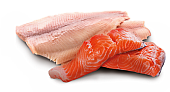 Консервы Farmina N&D Dog Ocean Trout&salmon для собак с форелью и лососем