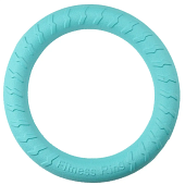 Игрушка Mr.Kranch для собак "Кольцо" диаметр 28 см бирюзовая