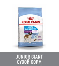 Изображение корма