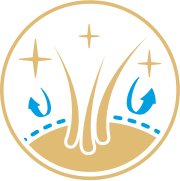 Изображение описания текста