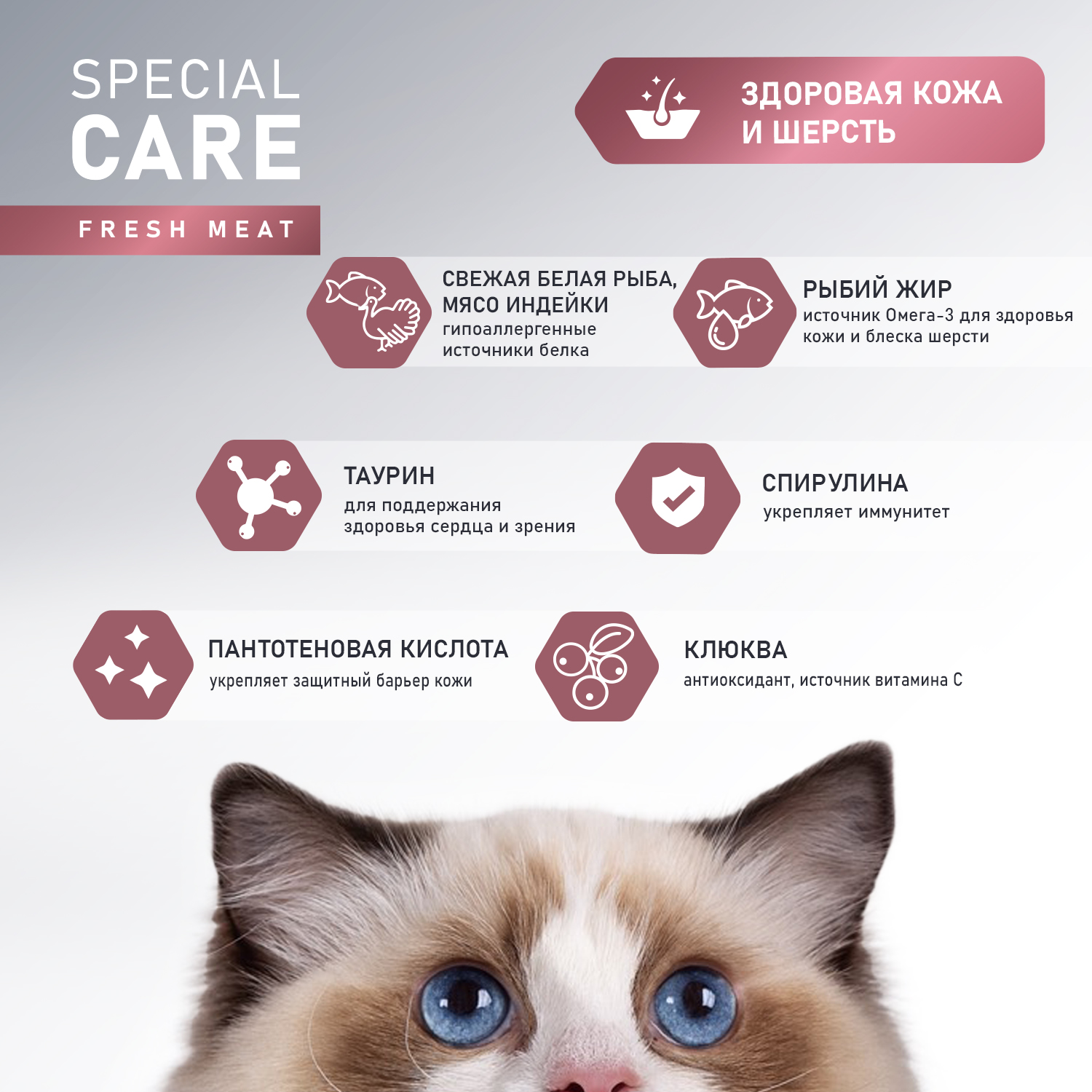 Корм Award Special Care Sensitive Skin&Coat для взрослых кошек для здоровой кожи и шерсти со свежей белой рыбой