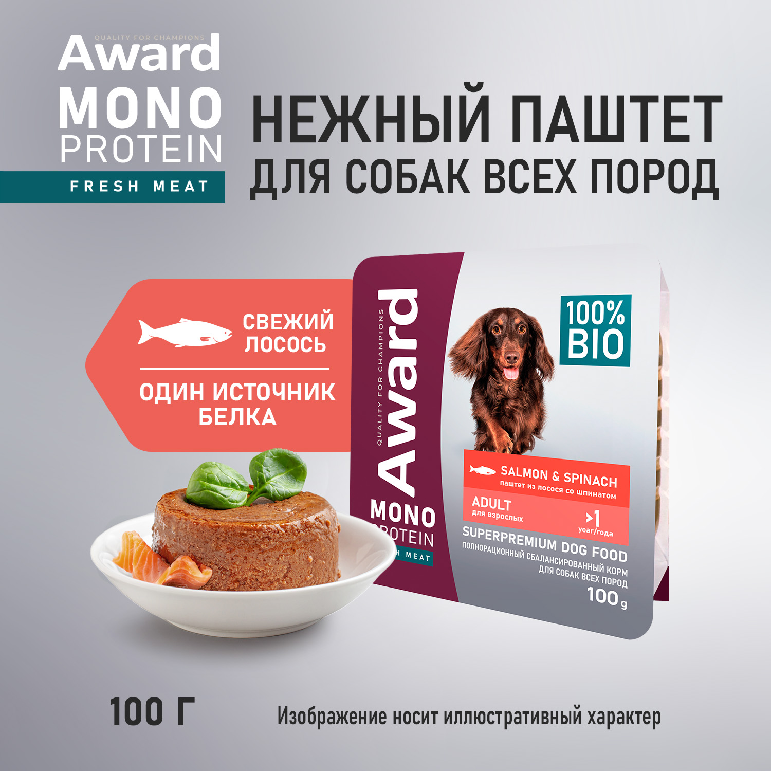 Ламистеры Award Monoprotein для взрослых собак паштет из лосося со шпинатом