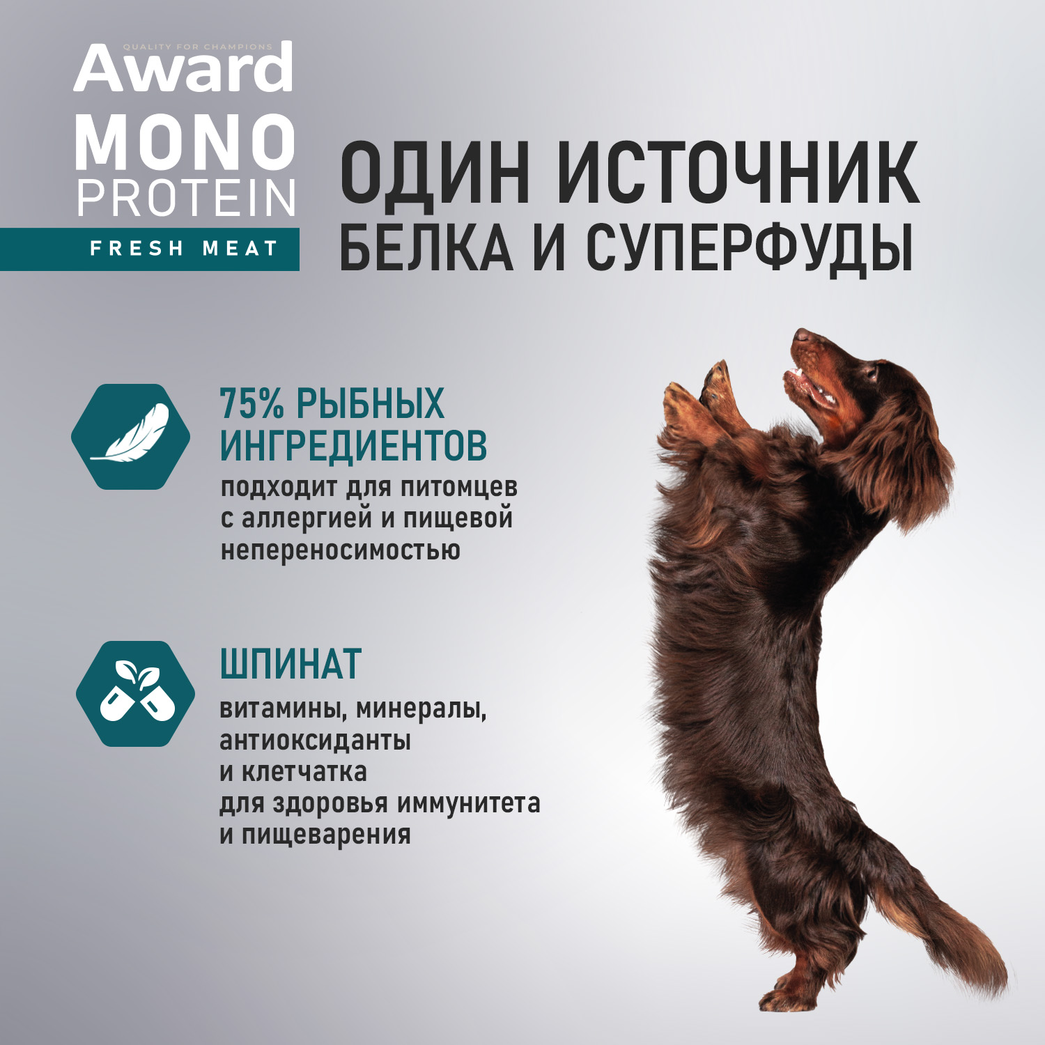 Ламистеры Award Monoprotein для взрослых собак паштет из лосося со шпинатом