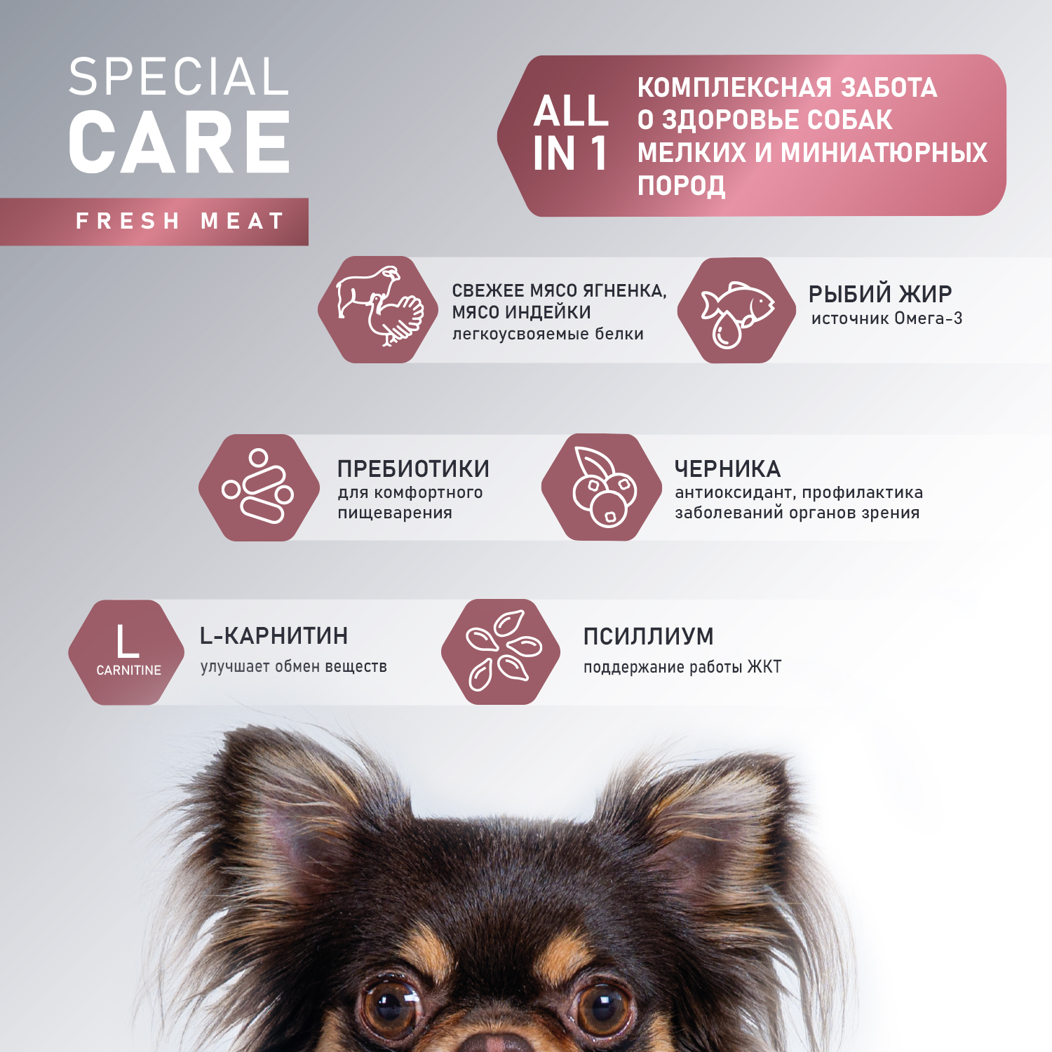 Корм Award Special Care Toy Breed Support для взрослых собак мелких и миниатюрных пород со свежим мясом ягненка