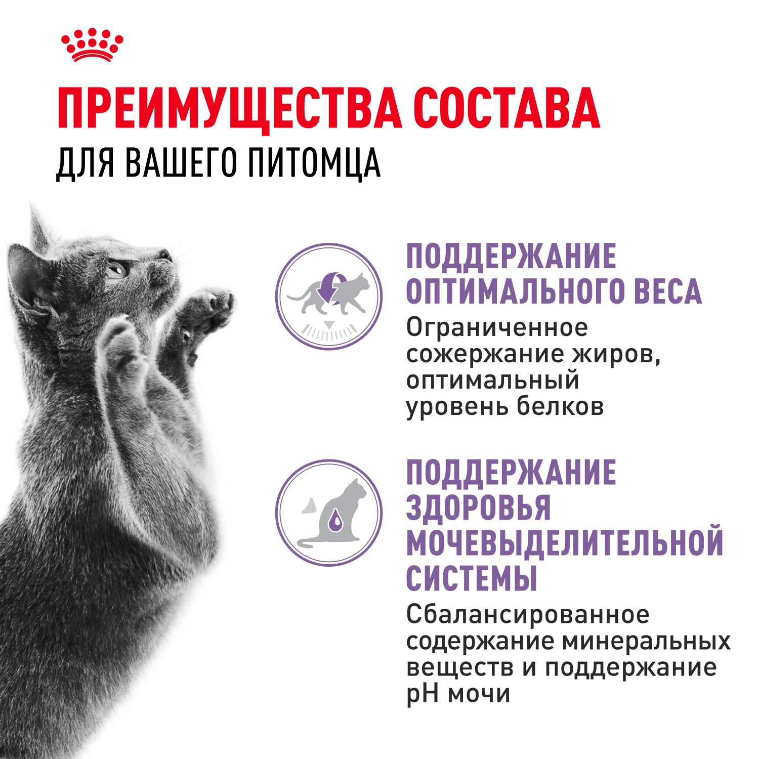 Корм консервированный Royal Canin Sterilised для взрослых кошек в желе