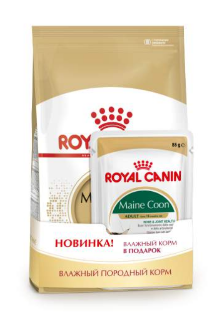 Корм Royal Canin Maine Coon для кошек породы Мейн Кун + 4 пауча