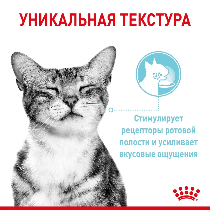 royal canin вет паучи кусочки в соусе для кошек с пищевой аллергией c курицей. Смотреть фото royal canin вет паучи кусочки в соусе для кошек с пищевой аллергией c курицей. Смотреть картинку royal canin вет паучи кусочки в соусе для кошек с пищевой аллергией c курицей. Картинка про royal canin вет паучи кусочки в соусе для кошек с пищевой аллергией c курицей. Фото royal canin вет паучи кусочки в соусе для кошек с пищевой аллергией c курицей