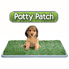 POTTY PATCH