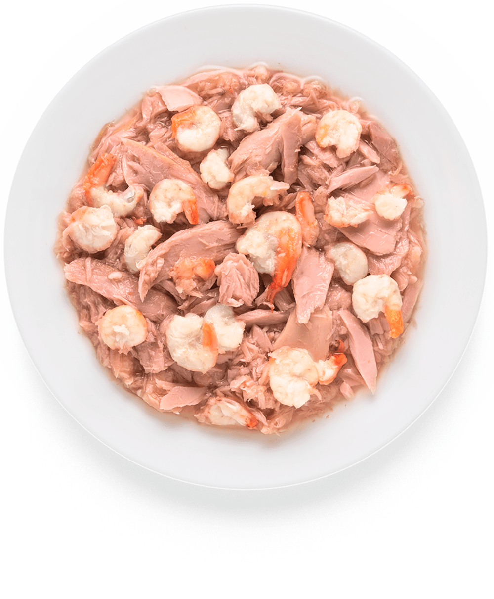 Консервы Grandorf Adult Cat Tuna With Prawn In Broth для кошек филе тунца с креветками