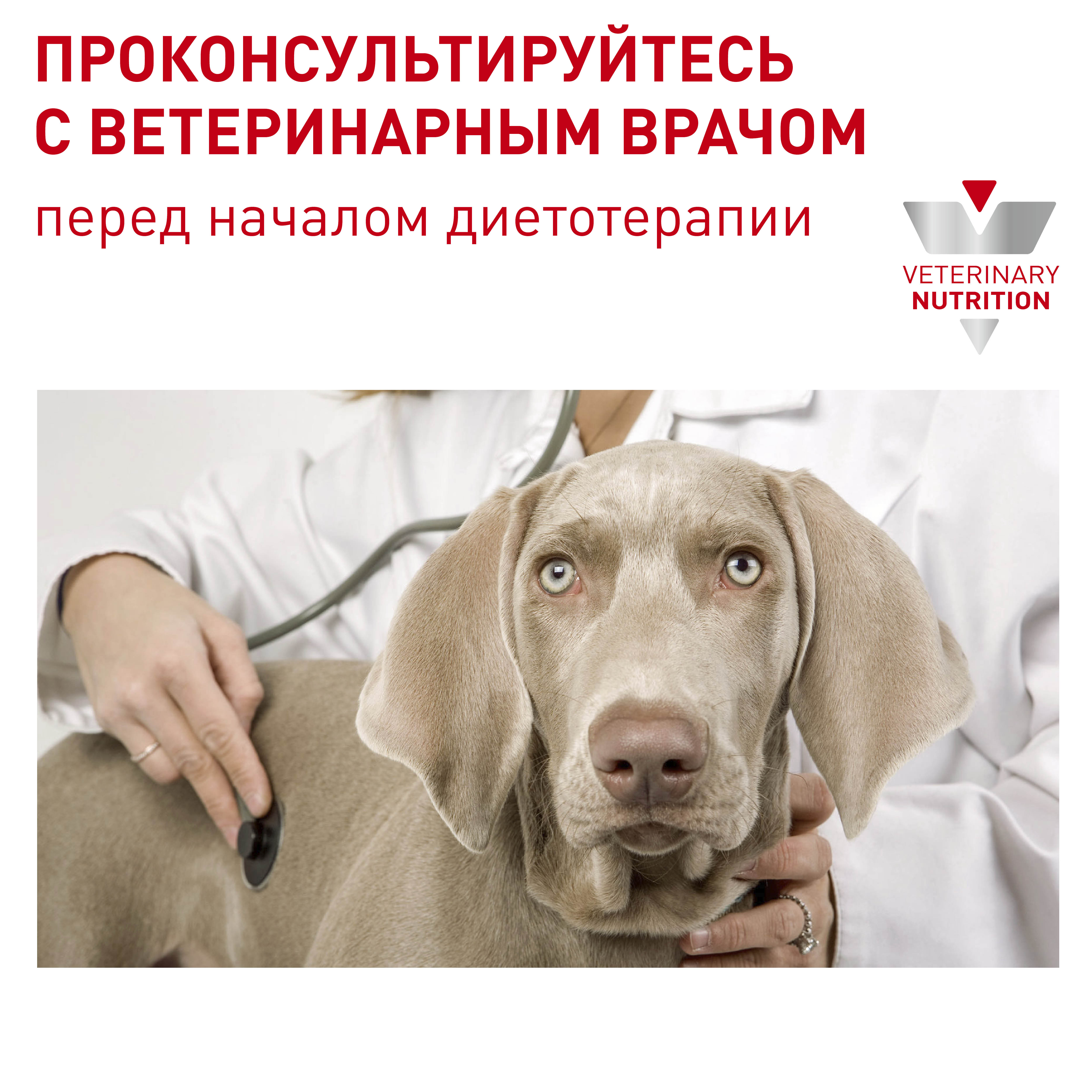 Корм Royal Canin Neutered Adult Mini для взрослых стерилизованных/кастрированных собак старше 12 мес