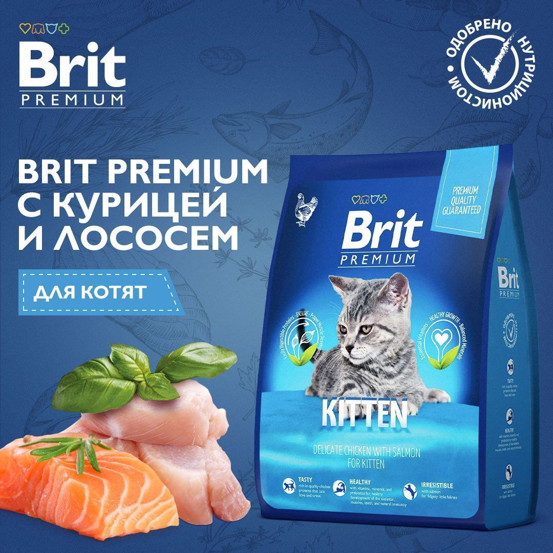 Сухой Корм Brit Premium Cat Kitten для котят, беременных и кормящих кошек с  курицей в лососевом соусе – купить в Москве, цены | Интернет-магазин  Динозаврик