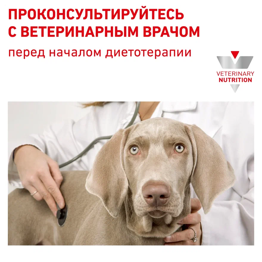 Royal Canin Gastrointestinal Low Fat корм сухой диетический для собак при нарушениях пищеварения