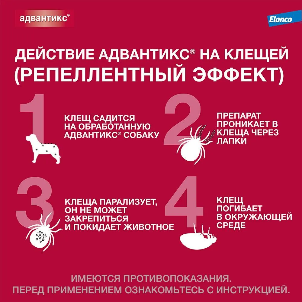 Капли на холку Адвантикс от блох, клещей и комаров для собак весом от 4 до  10 кг – купить в Москве, цены | Интернет-магазин Динозаврик