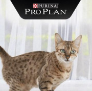Скидка до 25% на корма для кошек марки Pro Plan!