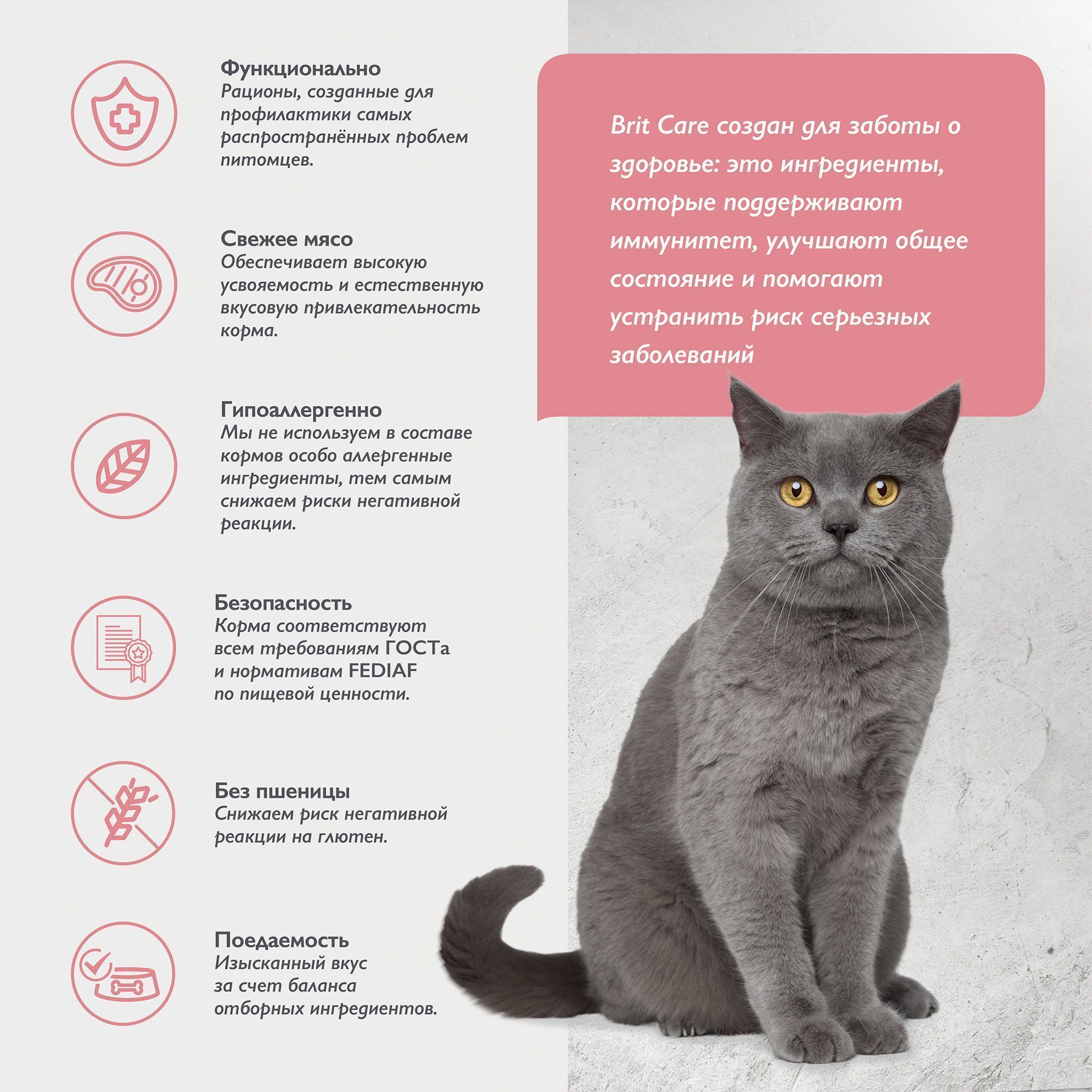 Сухой Корм Brit Care Cat Sterilised Metabolic для для стерилизованных кошек  с индейкой для улучшения обмена веществ – купить в Москве, цены |  Интернет-магазин Динозаврик