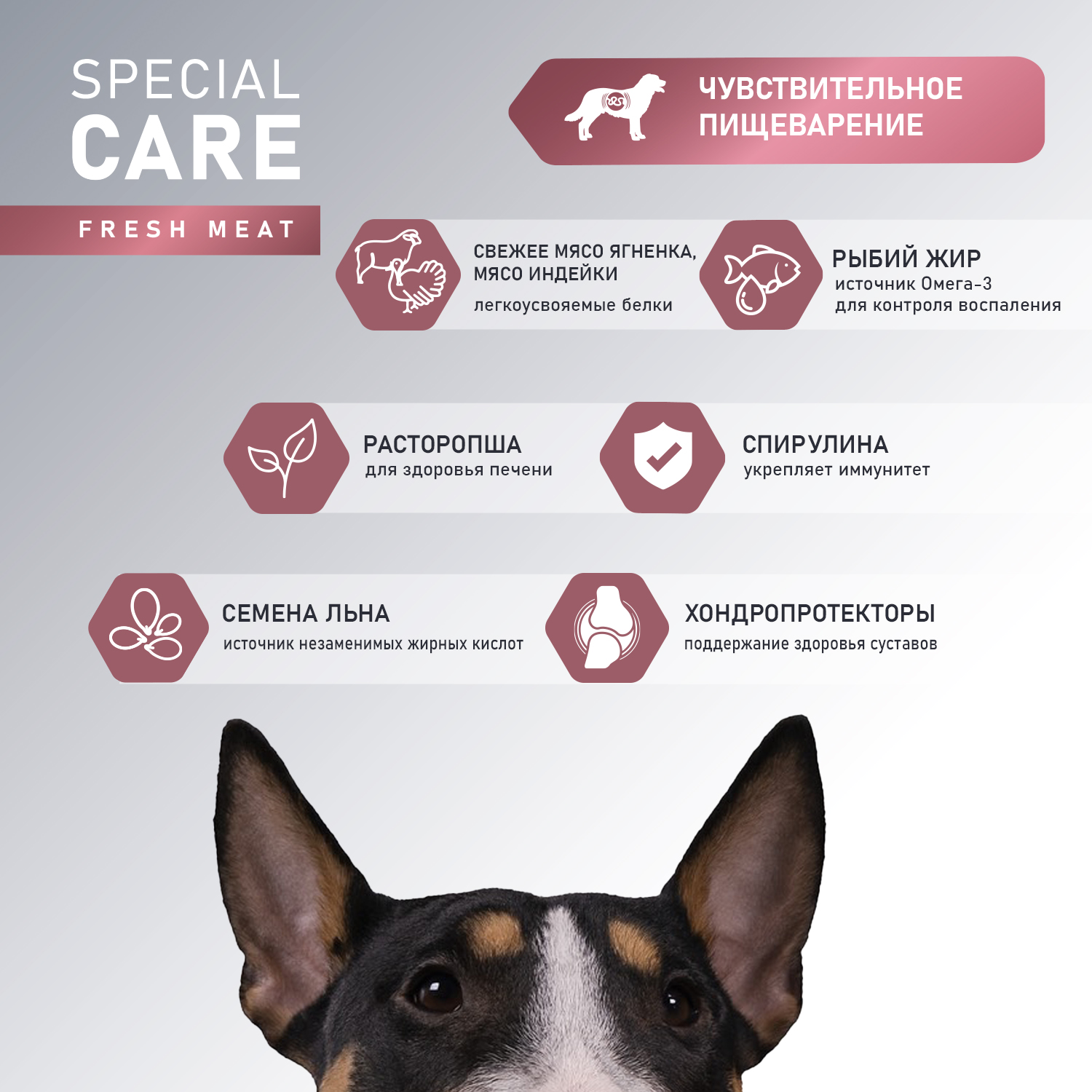 Корм Award Special Care Sensitive Digestion для собак всех пород с чувствительным пищеварением со свежим мясом ягненка