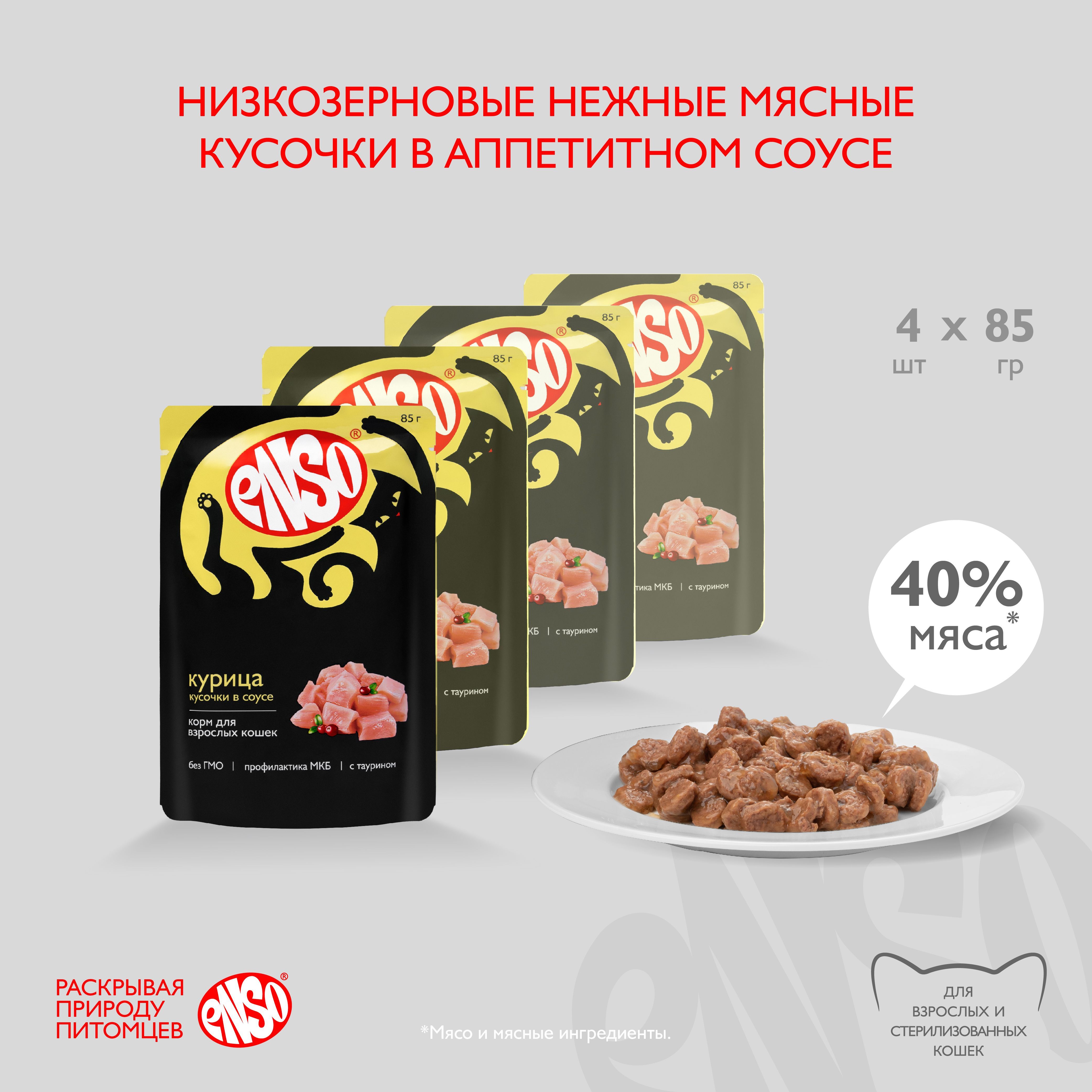 Паучи Enso Basic полнорационный корм для взрослых кошек кусочки в соусе с курицей