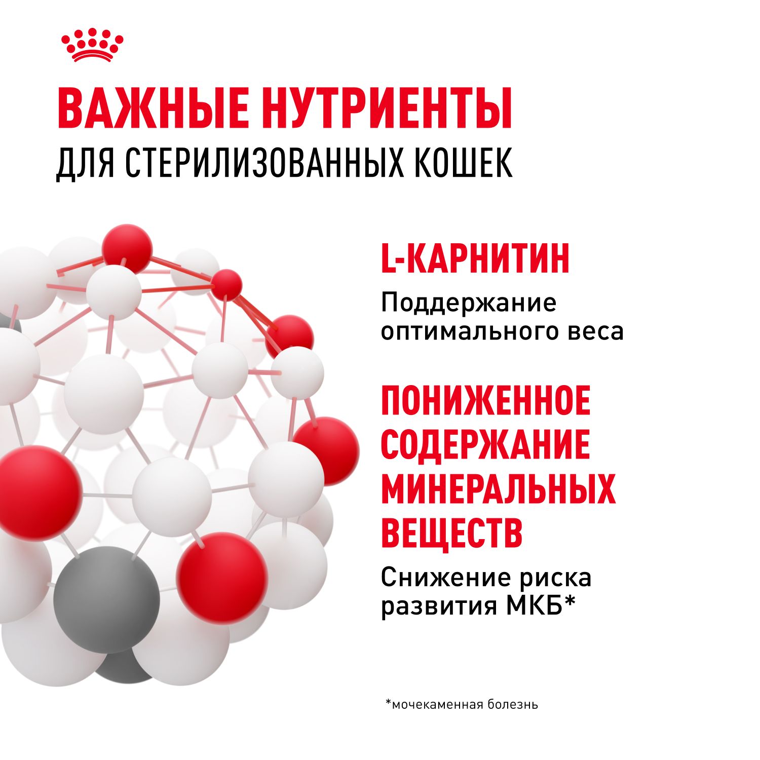 Корм консервированный Royal Canin Sterilised для взрослых кошек в желе