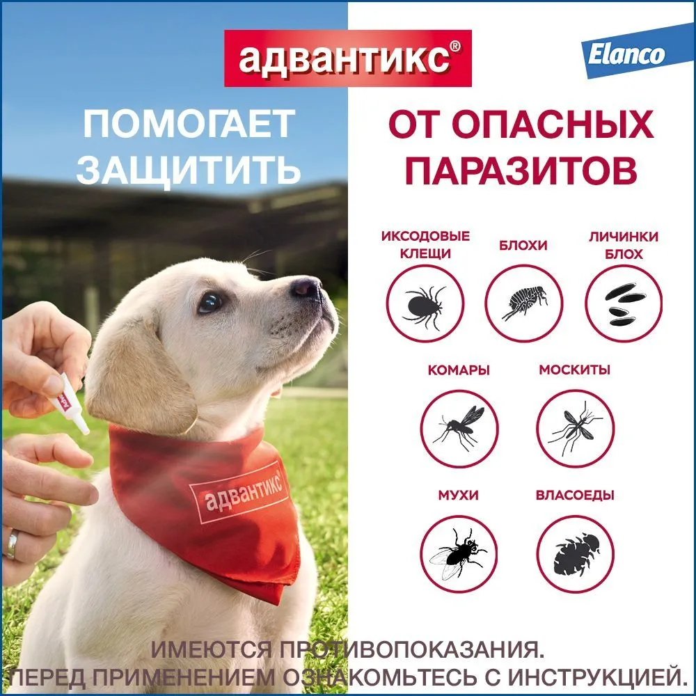 Капли на холку Адвантикс от блох, клещей и комаров для собак весом до 4 кг  – купить в Москве, цены | Интернет-магазин Динозаврик