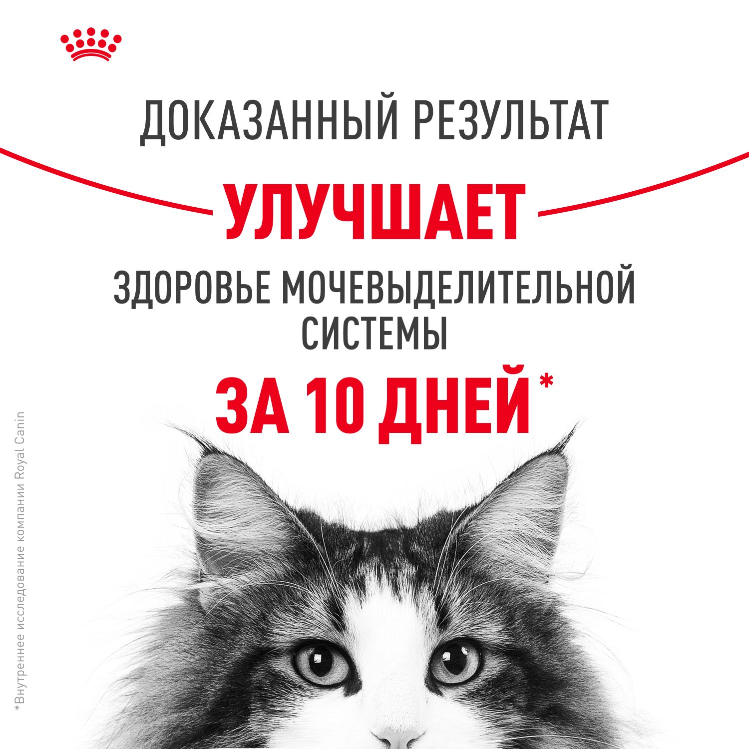 Корм для взрослых кошек Royal Canin Urinary Care Корм сухой для поддержания здоровья мочевыделительной системы
