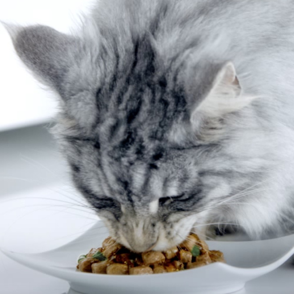 Паучи Purina One Sensetive Cat для кошек с курицей и морковью для чувствительного пищеварения