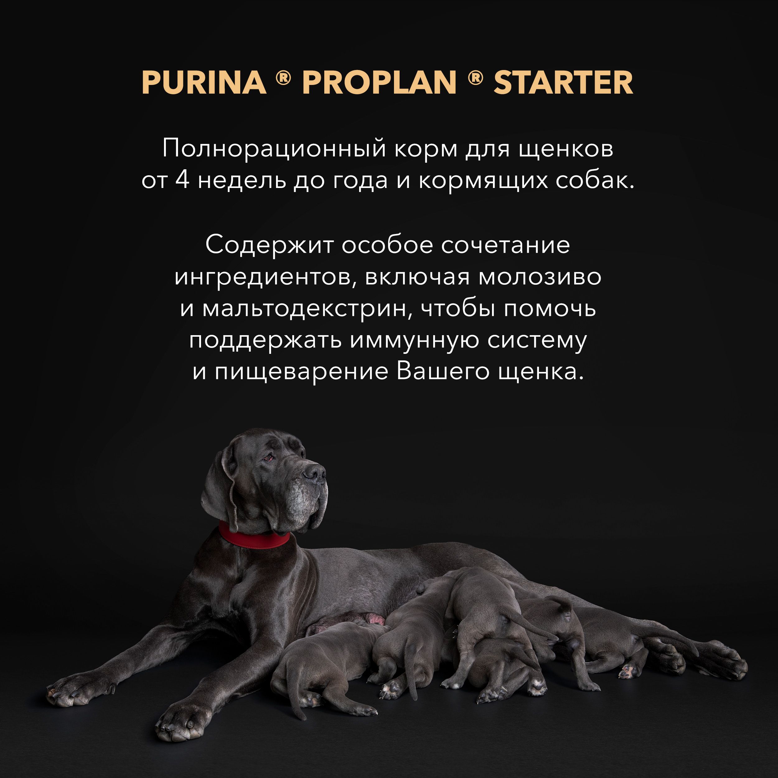 Корм Pro Plan Starter Large Dog для щенков крупных пород и кормящих самок с курицей