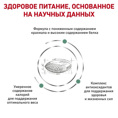 Royal Canin Diabetic DS 46 Feline корм для взрослых кошек при сахарном диабете, сухой диетический