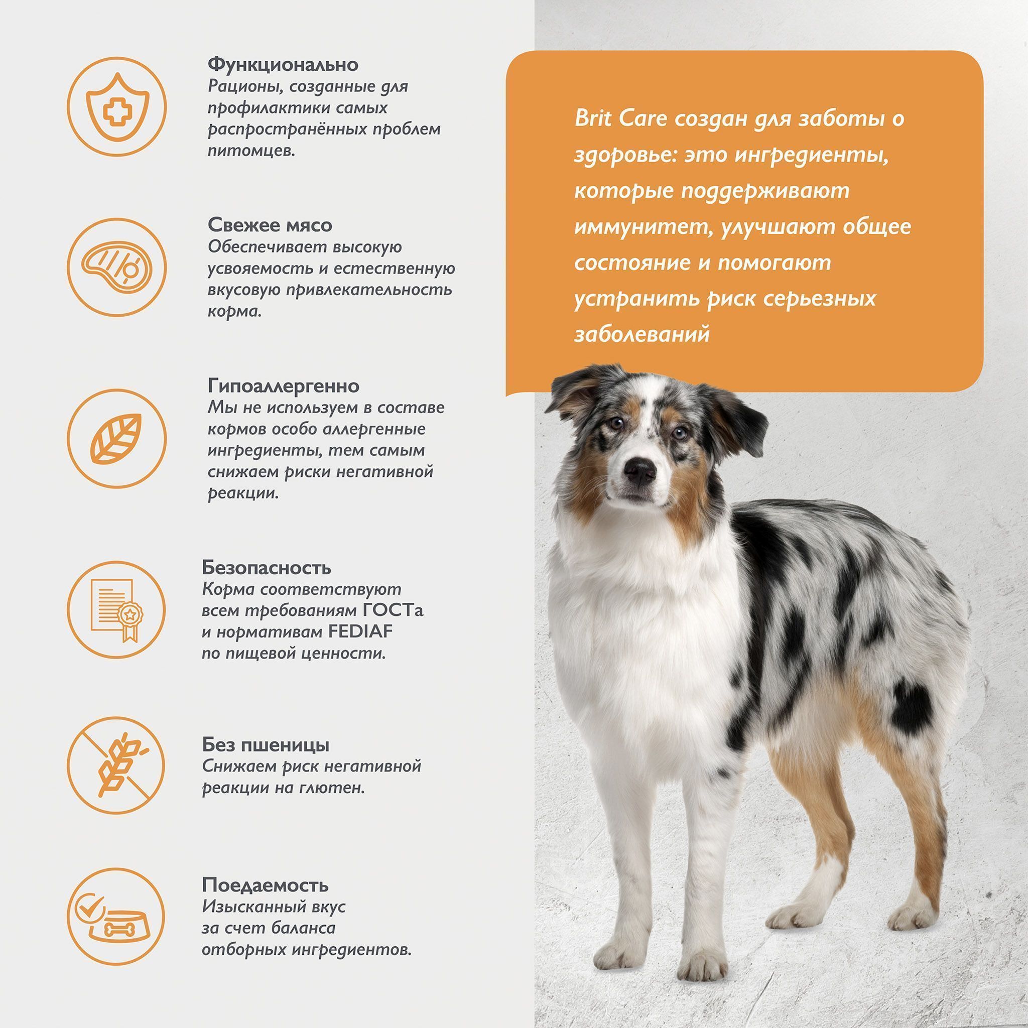 Brit Care Dog Adult Dental Health