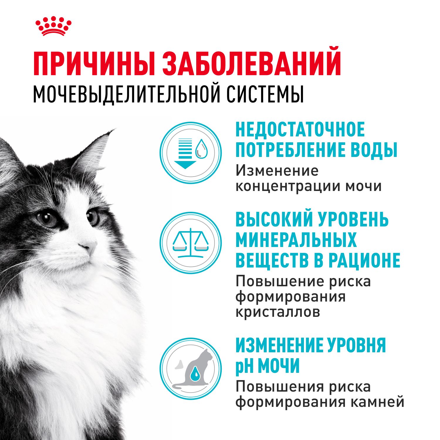 Корм для взрослых кошек Royal Canin Urinary Care Корм сухой для поддержания здоровья мочевыделительной системы