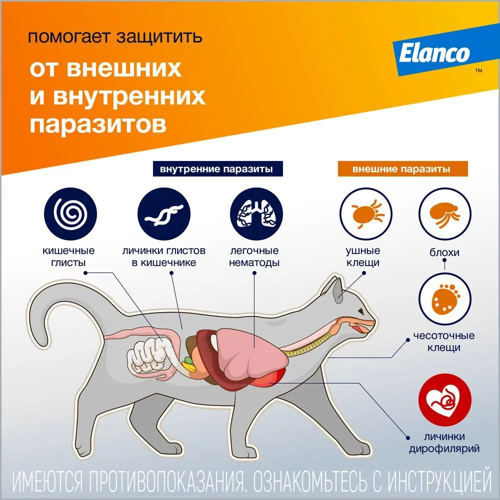 Капли Адвокат для кошек более 4 кг от чесоточных клещей, блох и гельминтов 1 пипетка