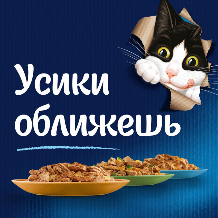 Влажный корм Felix Аппетитные кусочки для взрослых кошек с форелью в желе