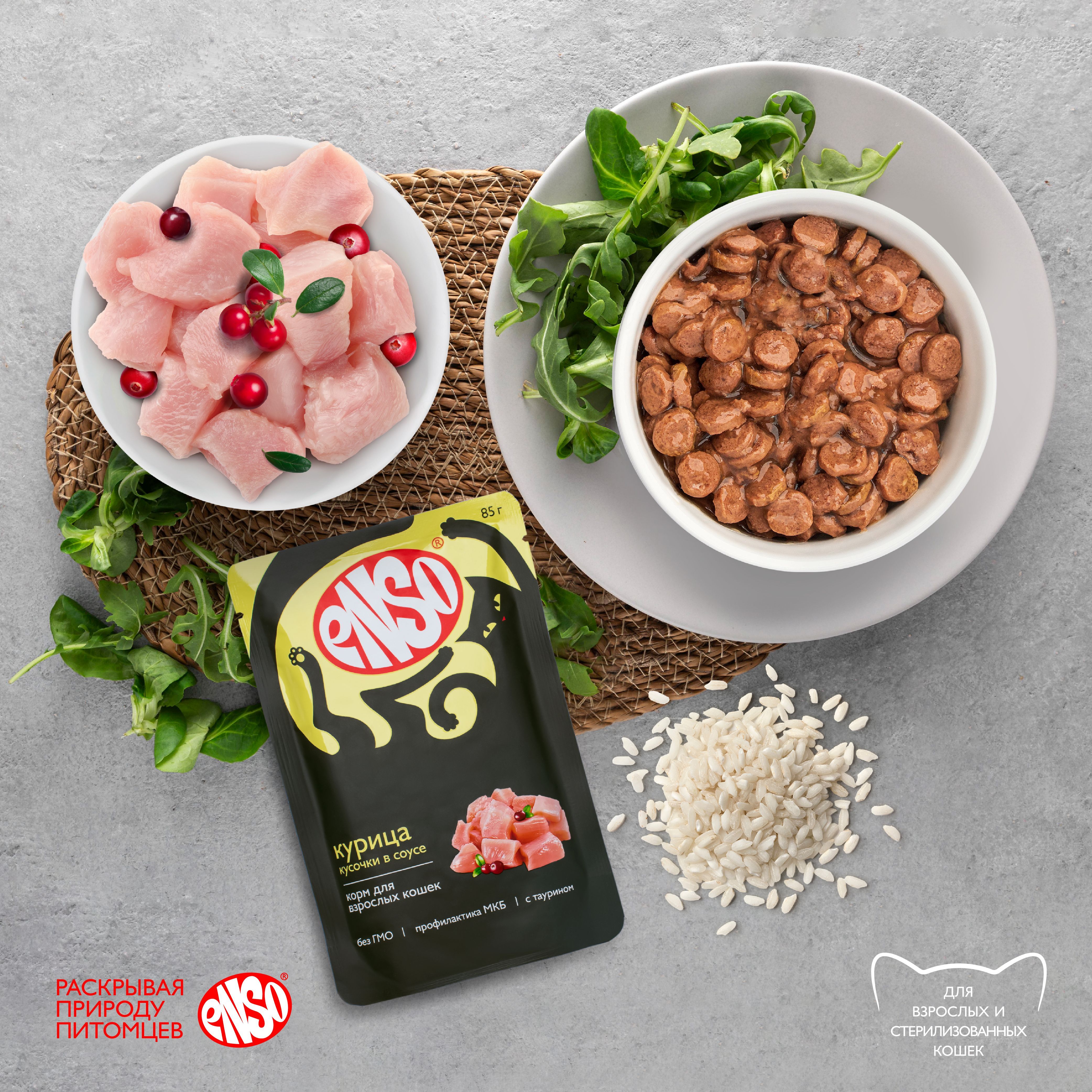 Паучи Enso Basic полнорационный корм для взрослых кошек кусочки в соусе с курицей