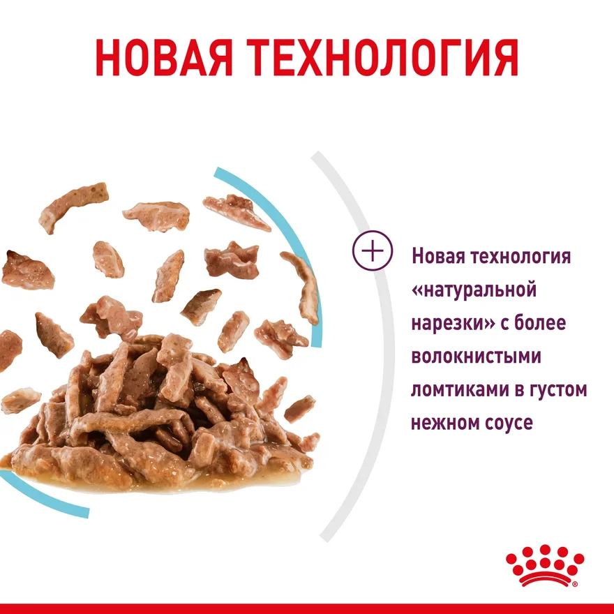 royal canin вет паучи кусочки в соусе для кошек с пищевой аллергией c курицей. Смотреть фото royal canin вет паучи кусочки в соусе для кошек с пищевой аллергией c курицей. Смотреть картинку royal canin вет паучи кусочки в соусе для кошек с пищевой аллергией c курицей. Картинка про royal canin вет паучи кусочки в соусе для кошек с пищевой аллергией c курицей. Фото royal canin вет паучи кусочки в соусе для кошек с пищевой аллергией c курицей