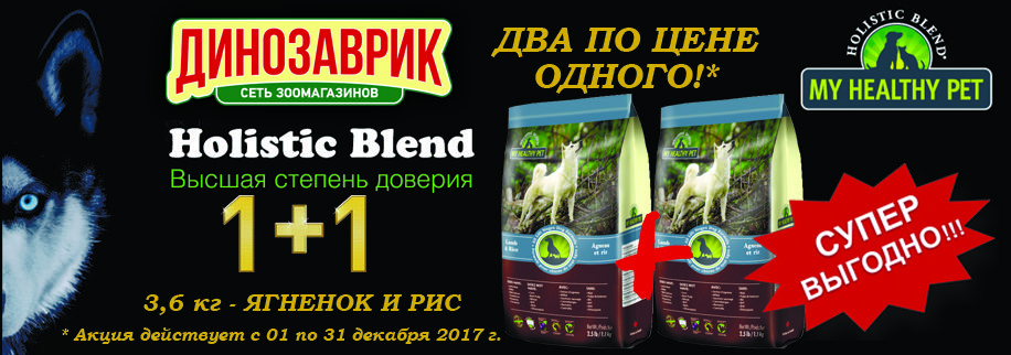 Динозаврик Интернет Магазин Корма Для Кошек