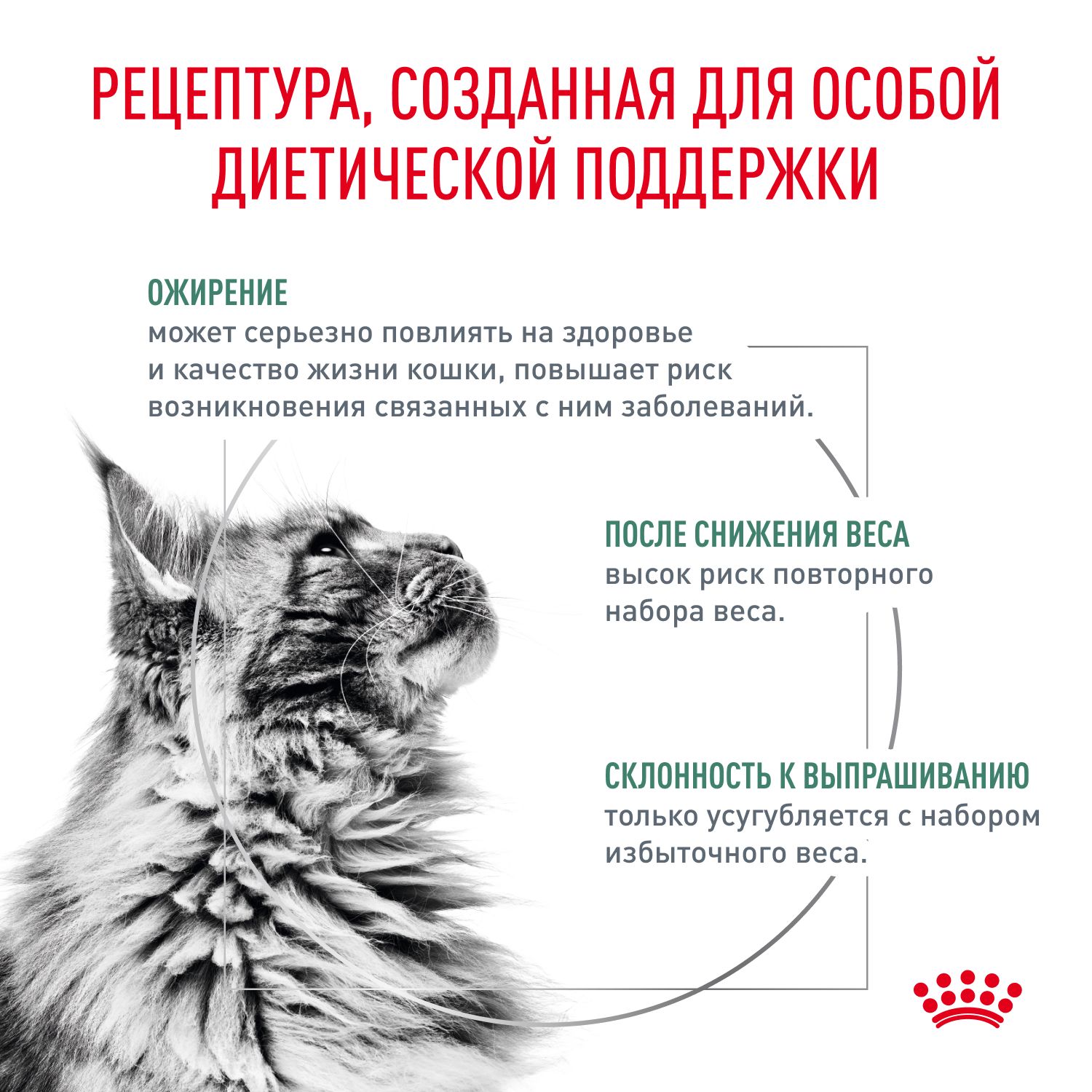 Паучи Royal Canin Satiety Weight Management для кошек, рекомендуемый для снижения веса