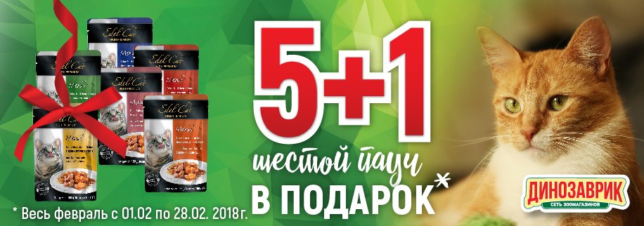 Динозаврик Интернет Магазин Корма Для Кошек