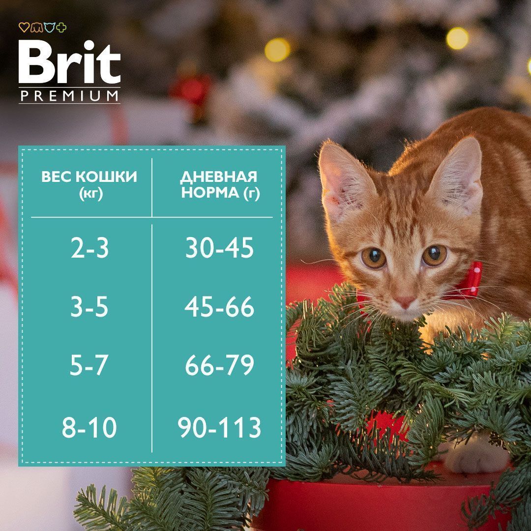 Корм Brit Premium Cat Sensitive для кошек с чувствительным пищеварением с ягнёнком и индейкой