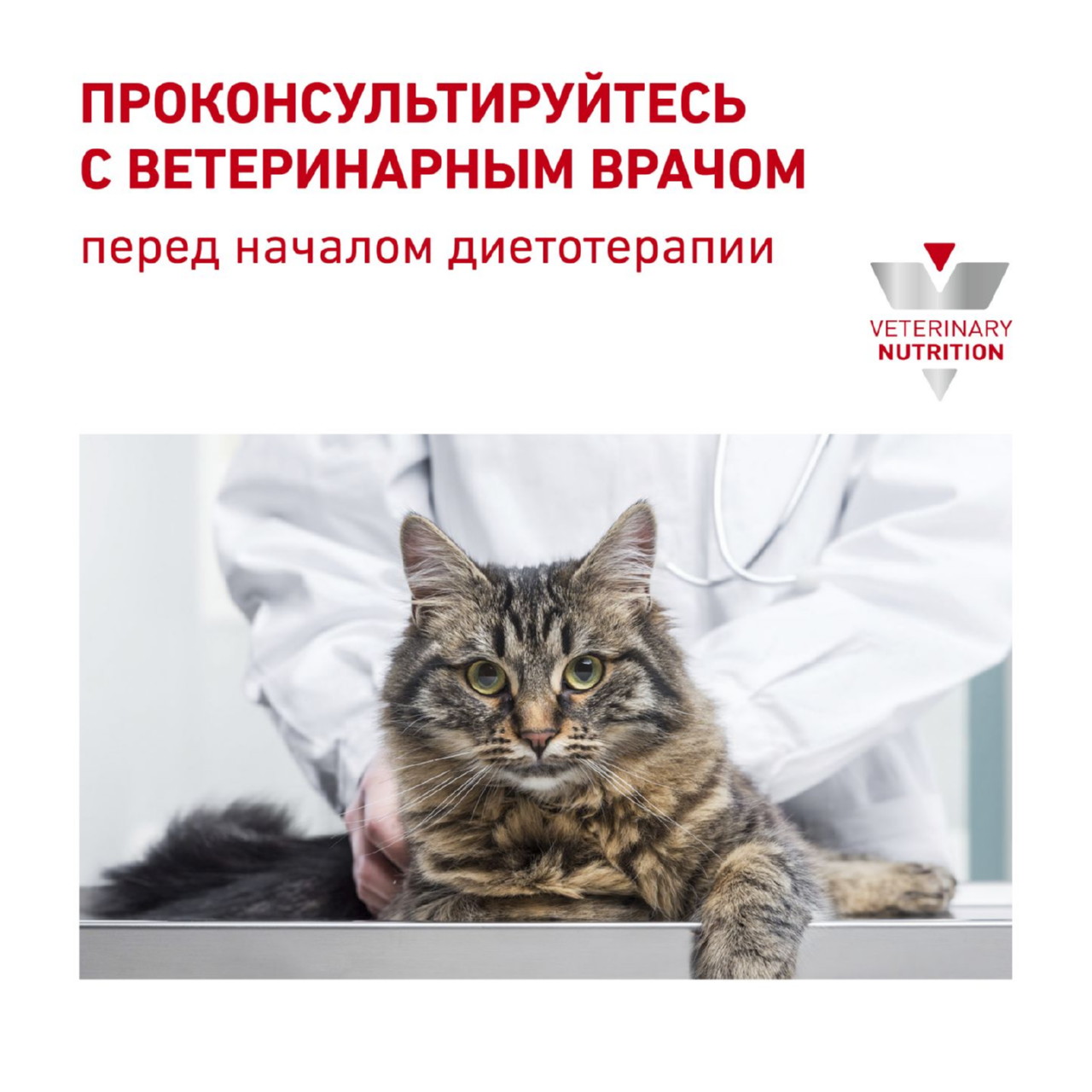 Корм Royal Canin Urinary S/O Moderate Calorie Feline для кошек при заболевании мочевыделительной системы