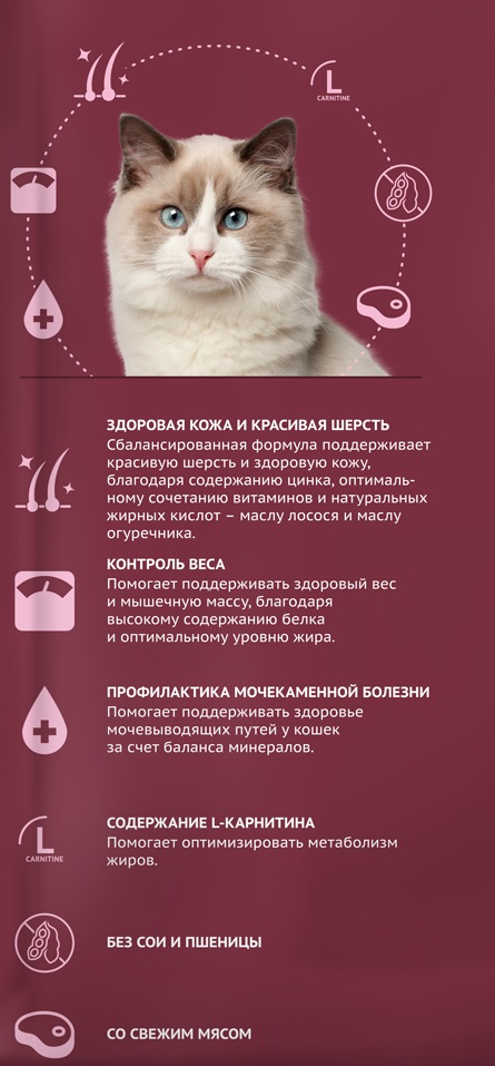 Корм Мираторг Для Кошек 10 Кг Купить