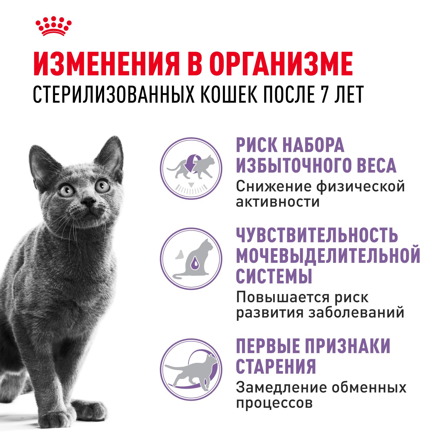 Корм для стерилизованных кошек Royal Canin Sterilised 7+ Корм сухой сбалансированный
