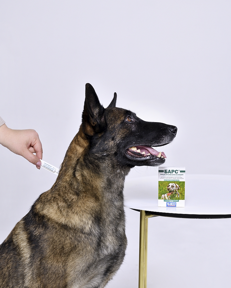 Капли Барс для собак 20-30 кг против блох и клещей (1 пипетка) – купить в  Москве, цены | Интернет-магазин Динозаврик