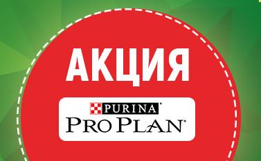 Акция на сухие корма для собак и влажные корма для кошек Pro Plan в зоомагазинах "Динозаврик"!