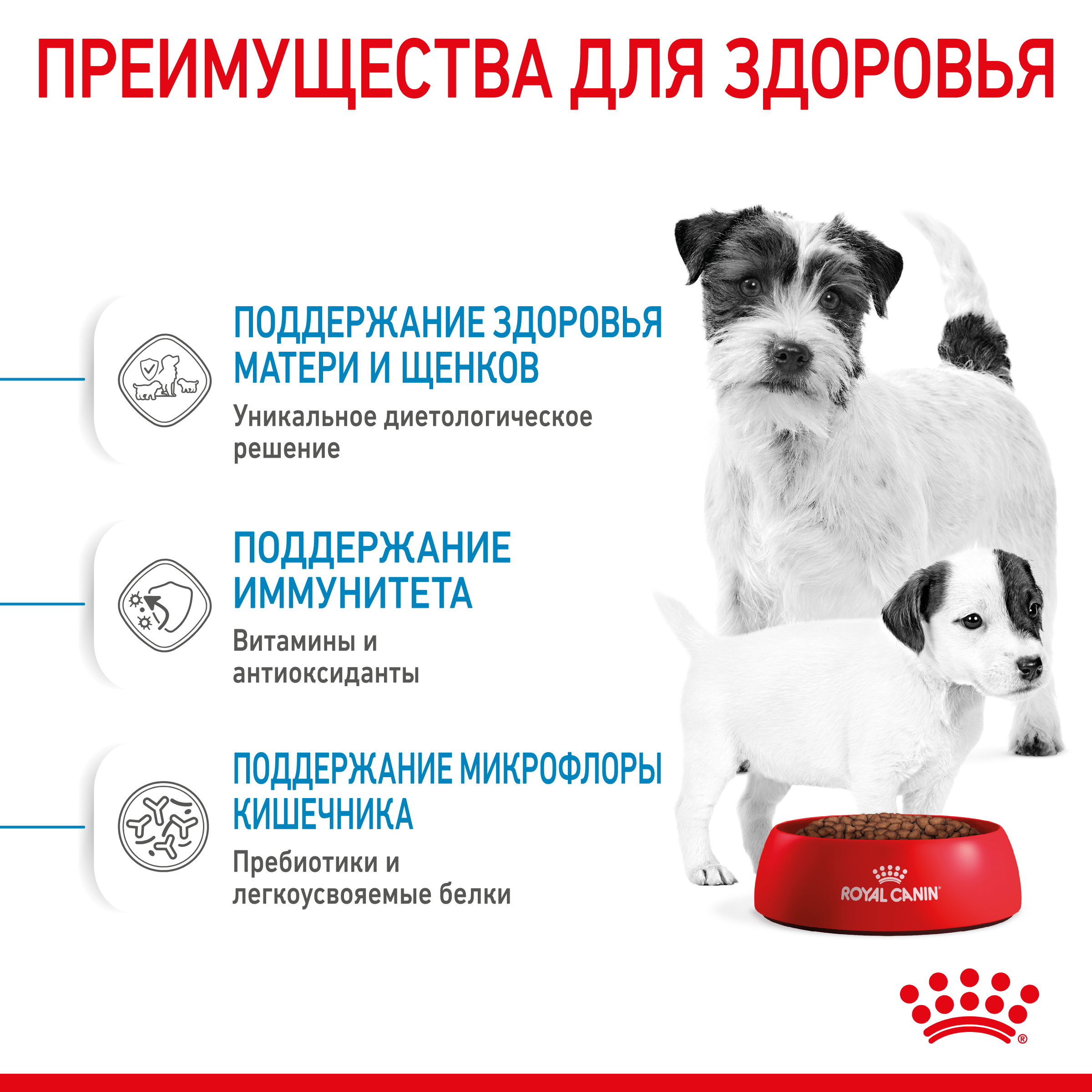 Корм Royal Canin Mini Starter для щенков до 2 месяцев и кормящих собак малых пород