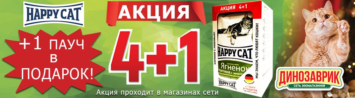 Динозаврик Интернет Магазин Корма Для Кошек