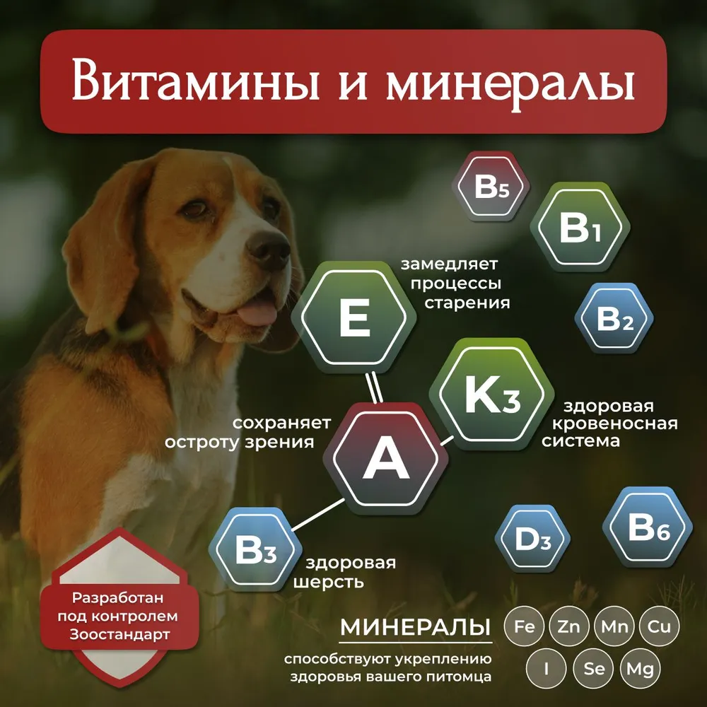Банки BioMenu adult для собак с говядиной и ягненком