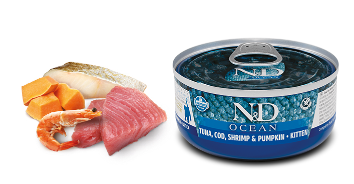 Консервы Farmina N&D Kitten Ocean Cod, Shrimp& Pumpkin для котят с треской, креветками и тыквой