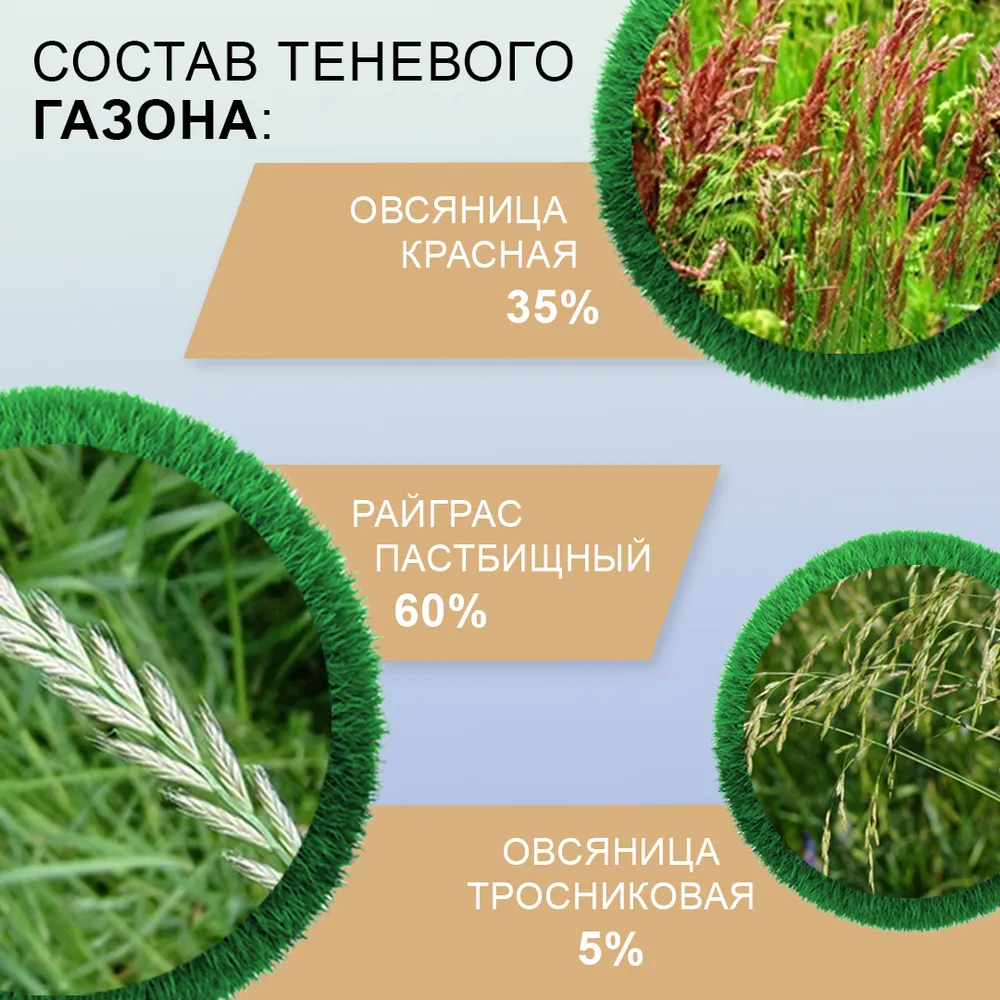 Теневыносливый газон Мираторг